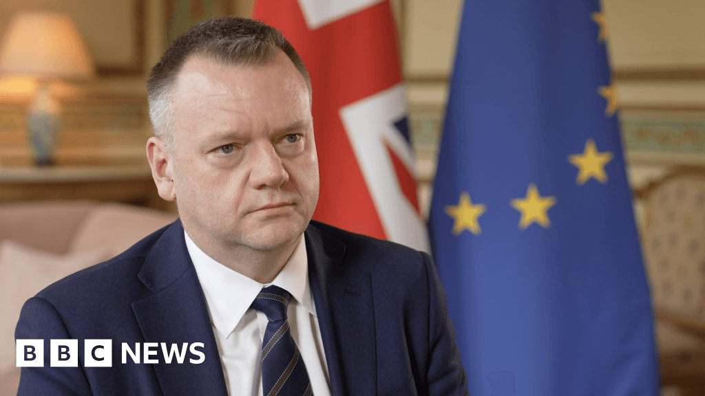 UK seeks closer EU ties in volatile times - but at what cost?