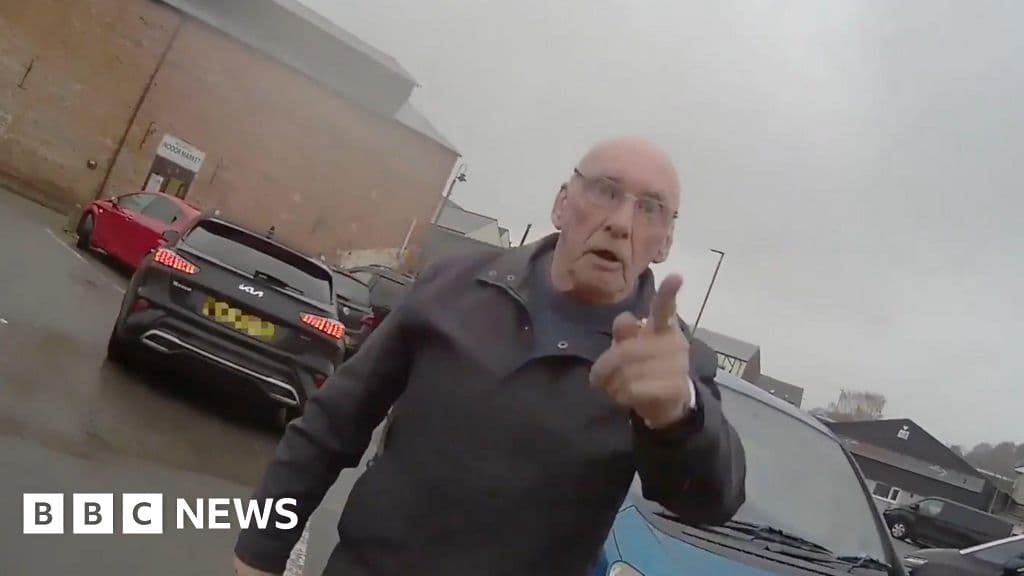 Man, 77, slapped traffic warden and threatened to 'lump' her