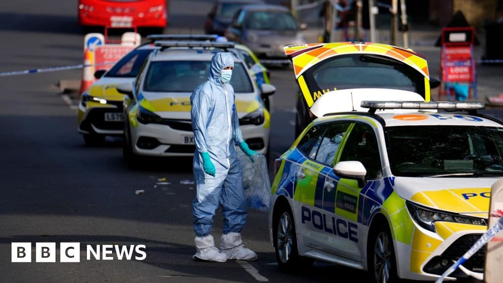 What we know about the Golders Green stabbings