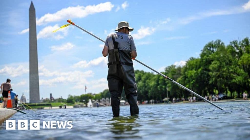 After Trump inspects Reflecting Pool, he says repair work will begin 'immediately'