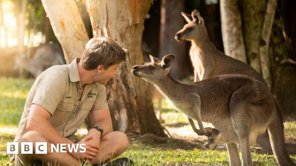 William, Catherine and children name baby kangaroo at Australia Zoo
