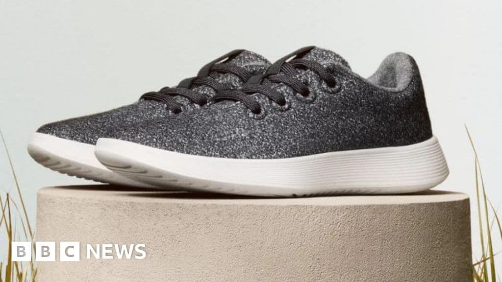 Shoe brand Allbirds' shares rise 580% after it pivots from footwear to AI