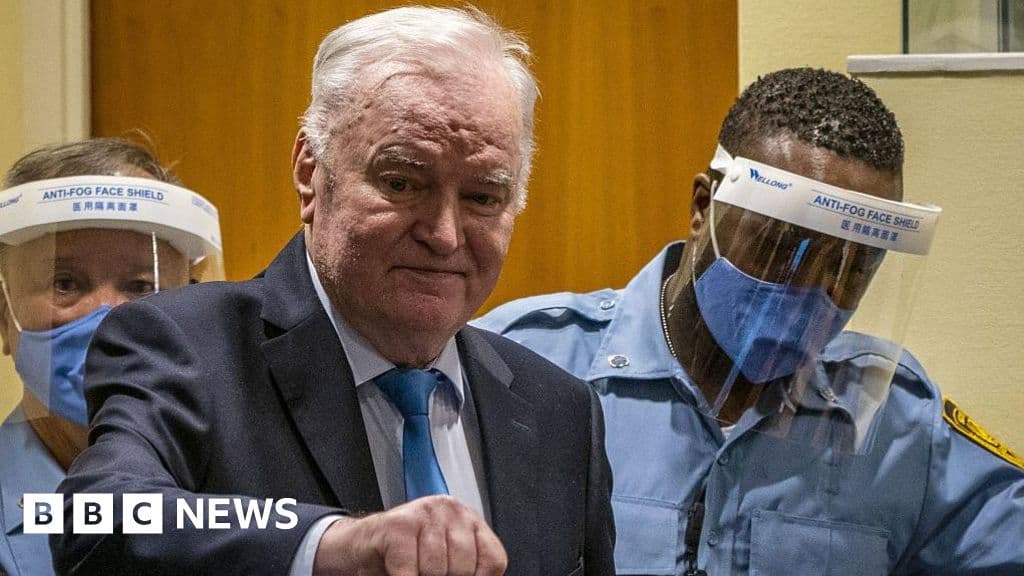 War criminal Mladic close to death, say lawyers asking judge for jail release