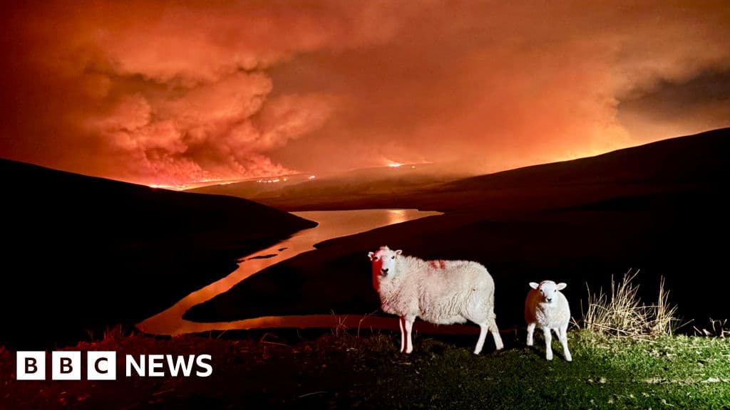 Pictures show 'frightening' wildfires at Welsh beauty spot