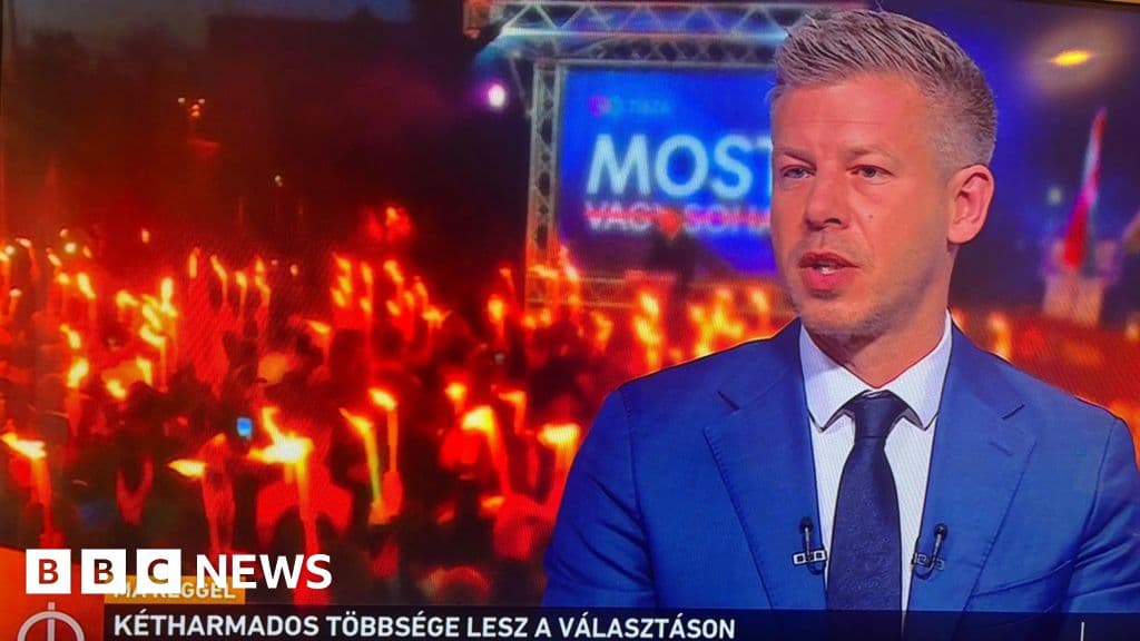 Magyar to meet Hungarian president as Trump says next PM 'a good man'