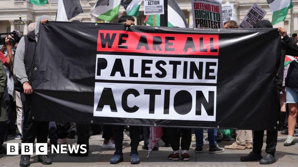Government defends Palestine Action ban after High Court ruled it unlawful