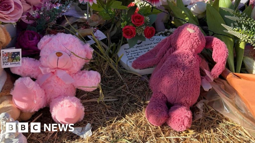 Child protection workers stood down after alleged murder of Australian child