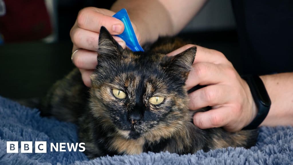 Vets advise ban on over the counter flea treatment for pets