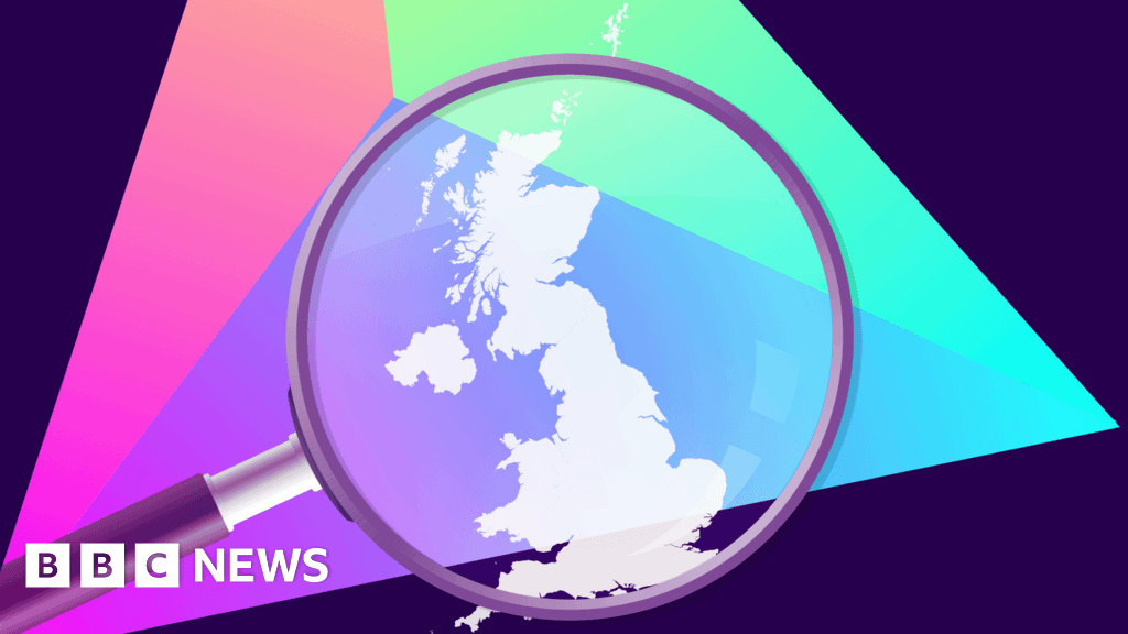 Who can I vote for in my area?