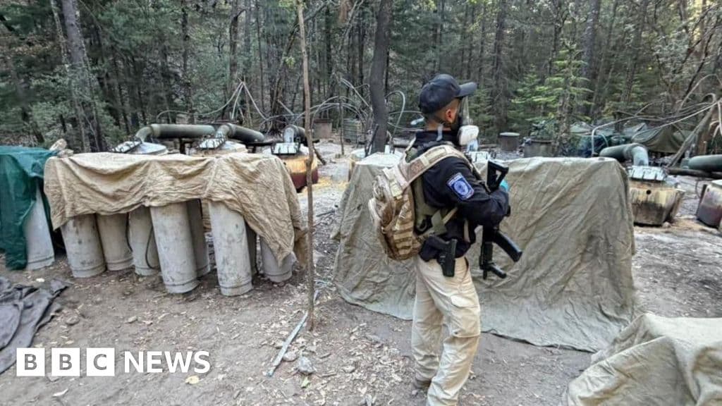 Mexico says US agents killed in crash weren't permitted to operate there