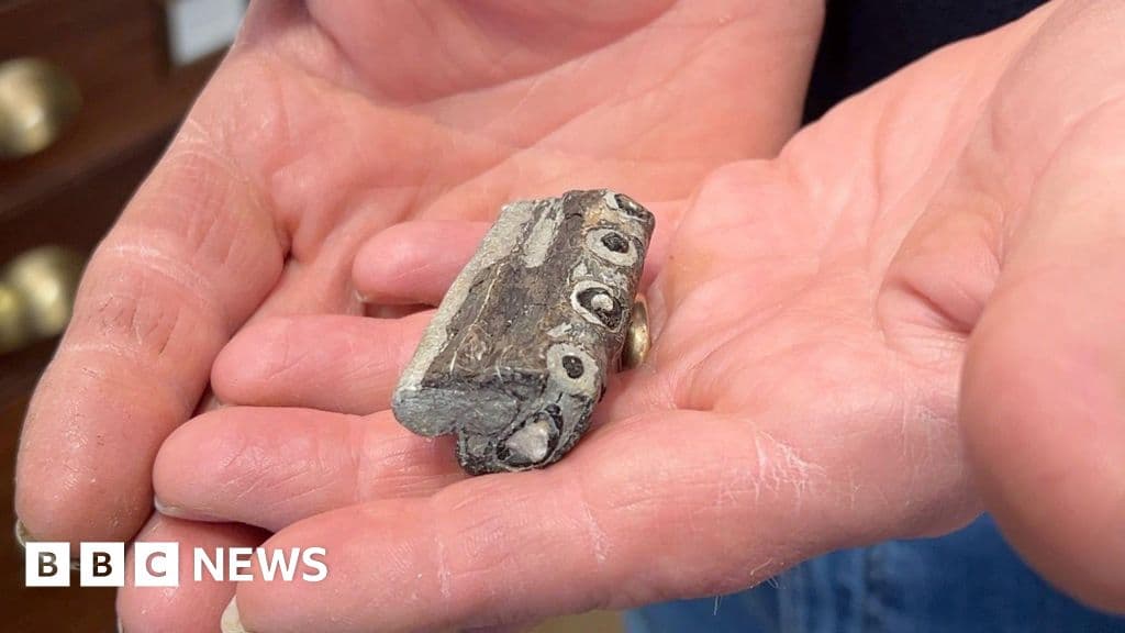 Tourist finds rare chunk of oldest sea crocodile