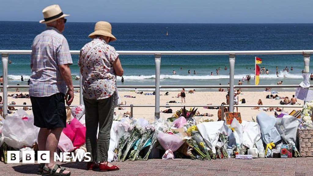 Royal commission into Bondi shooting says gun reform should be prioritised
