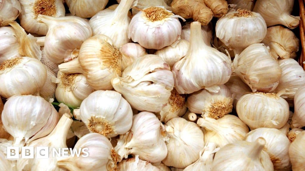 GP struck off over garlic oil 'cancer cure' claims