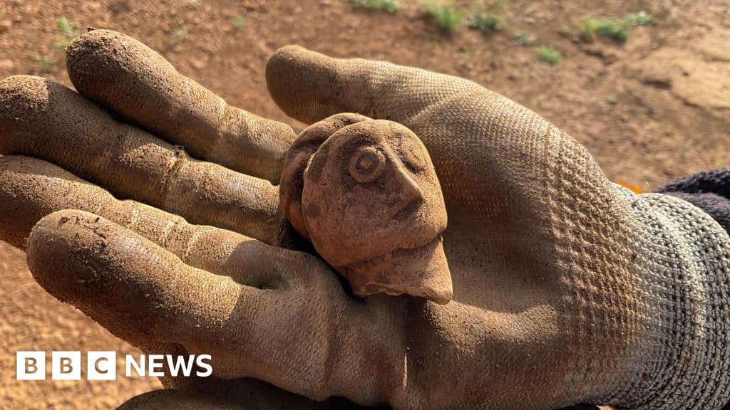 Dig site offers 'window' into Roman life