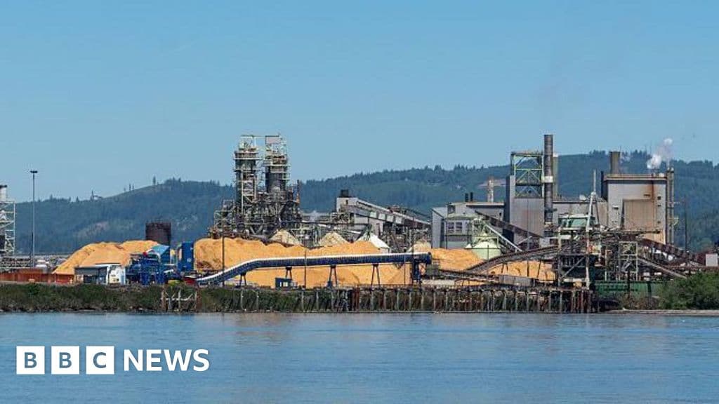 One killed and nine missing after chemical explosion at US paper mill