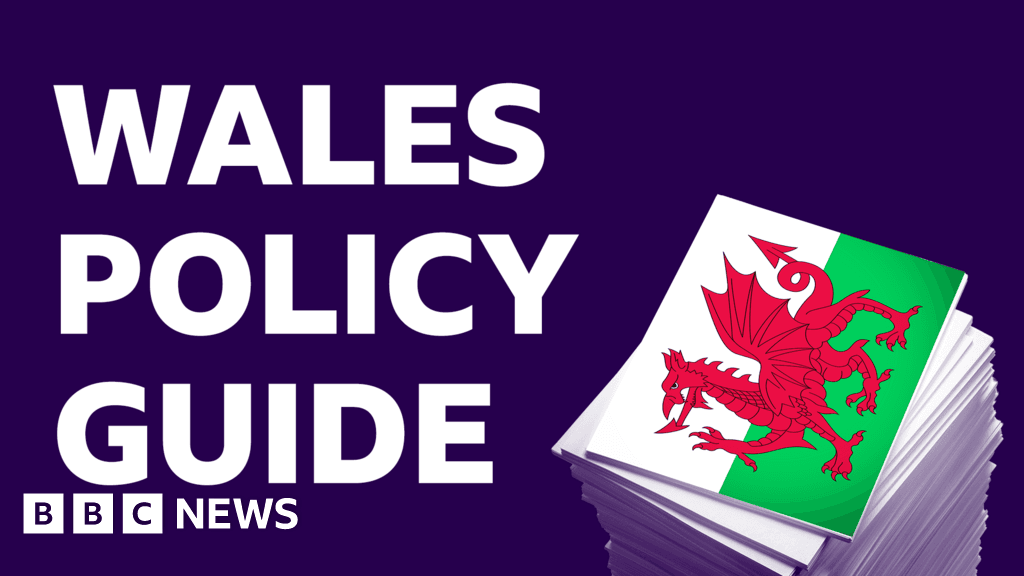 Welsh election 2026: Who should I vote for? Compare party policies