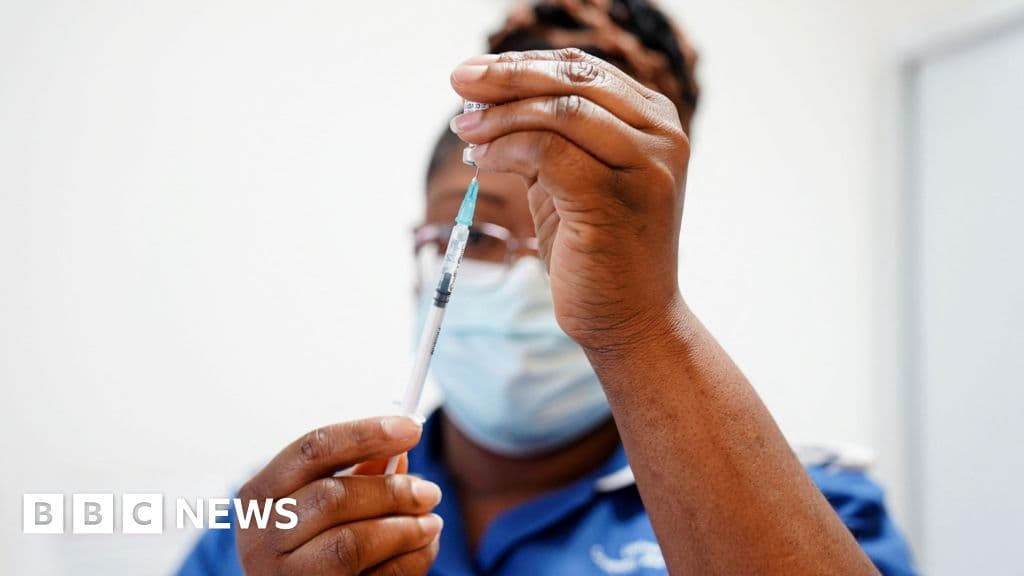 Rollout of Covid vaccines an extraordinary feat, inquiry report finds