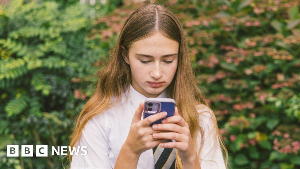 Minister promises 'some form' of social media restrictions for under-16s