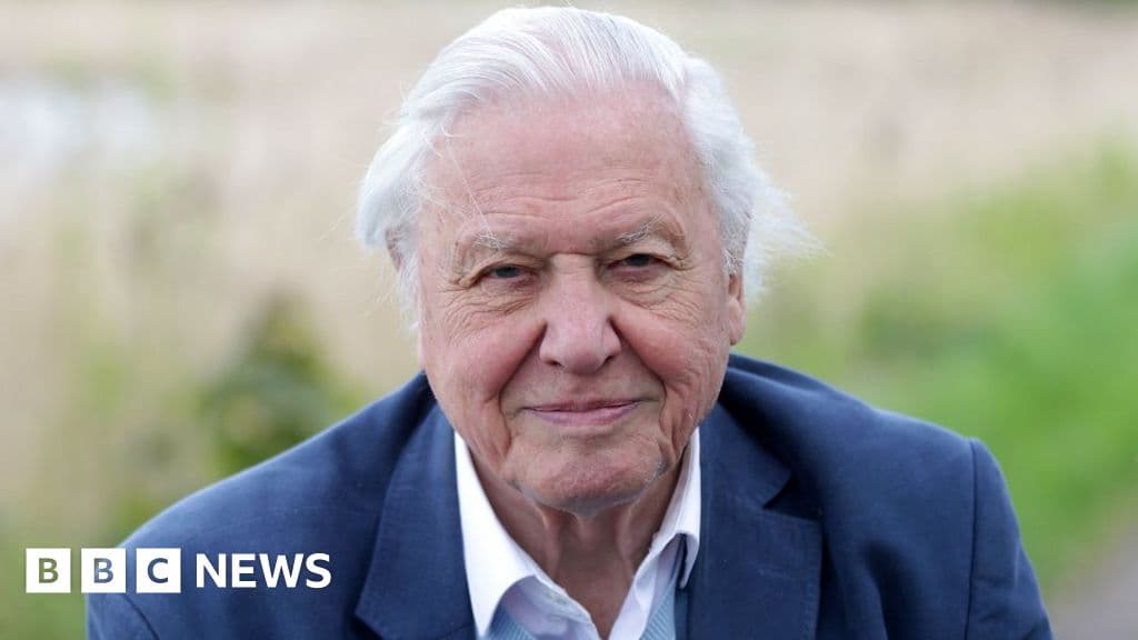 David Attenborough says he is 'overwhelmed' by 100th birthday messages