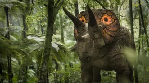 A Triceratops with colourful eye spots on its frill
