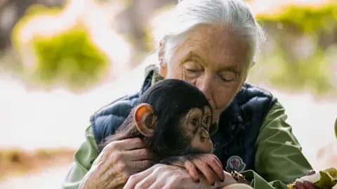 Jane Goodall in her later life, kissing a baby chimp