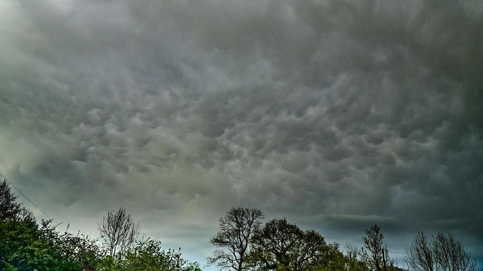 photo of mammatus cloud