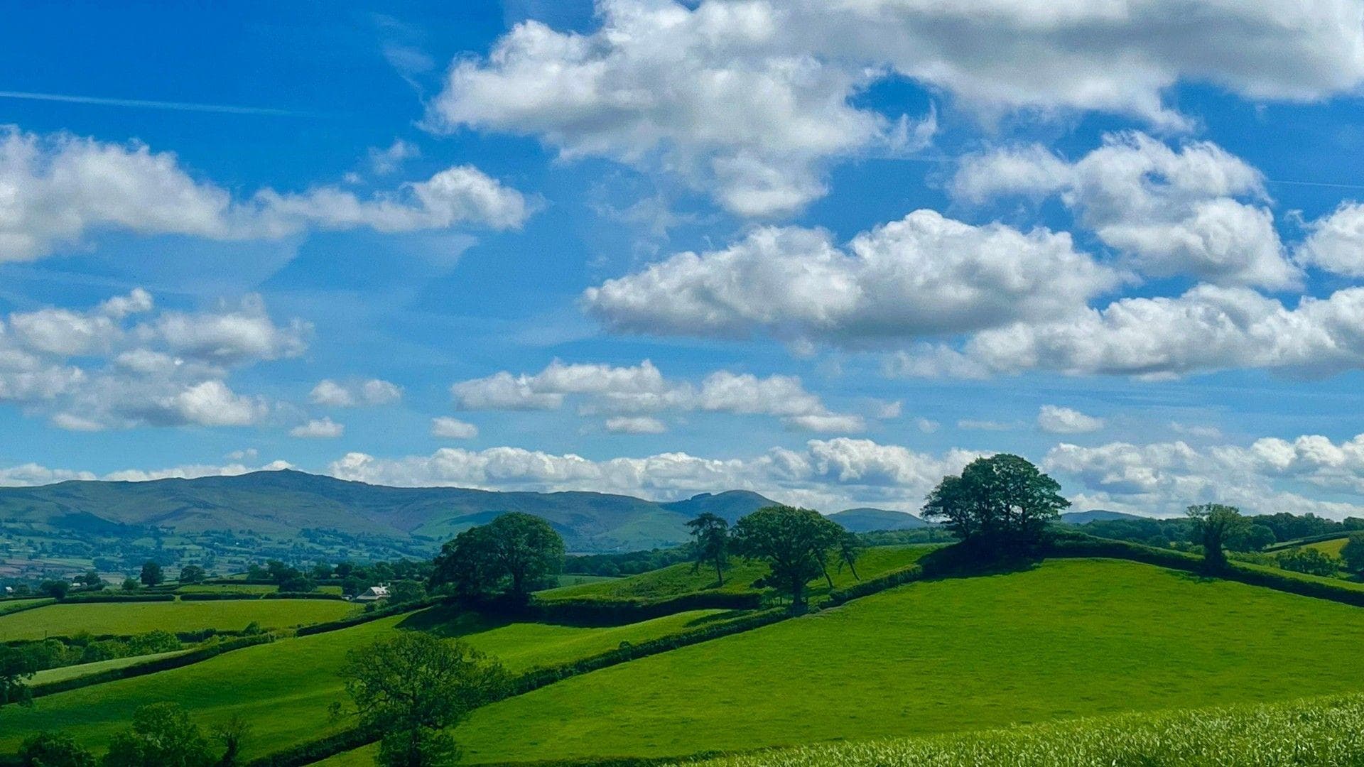 Rolling fields with blue skies and patchy cloud overhead