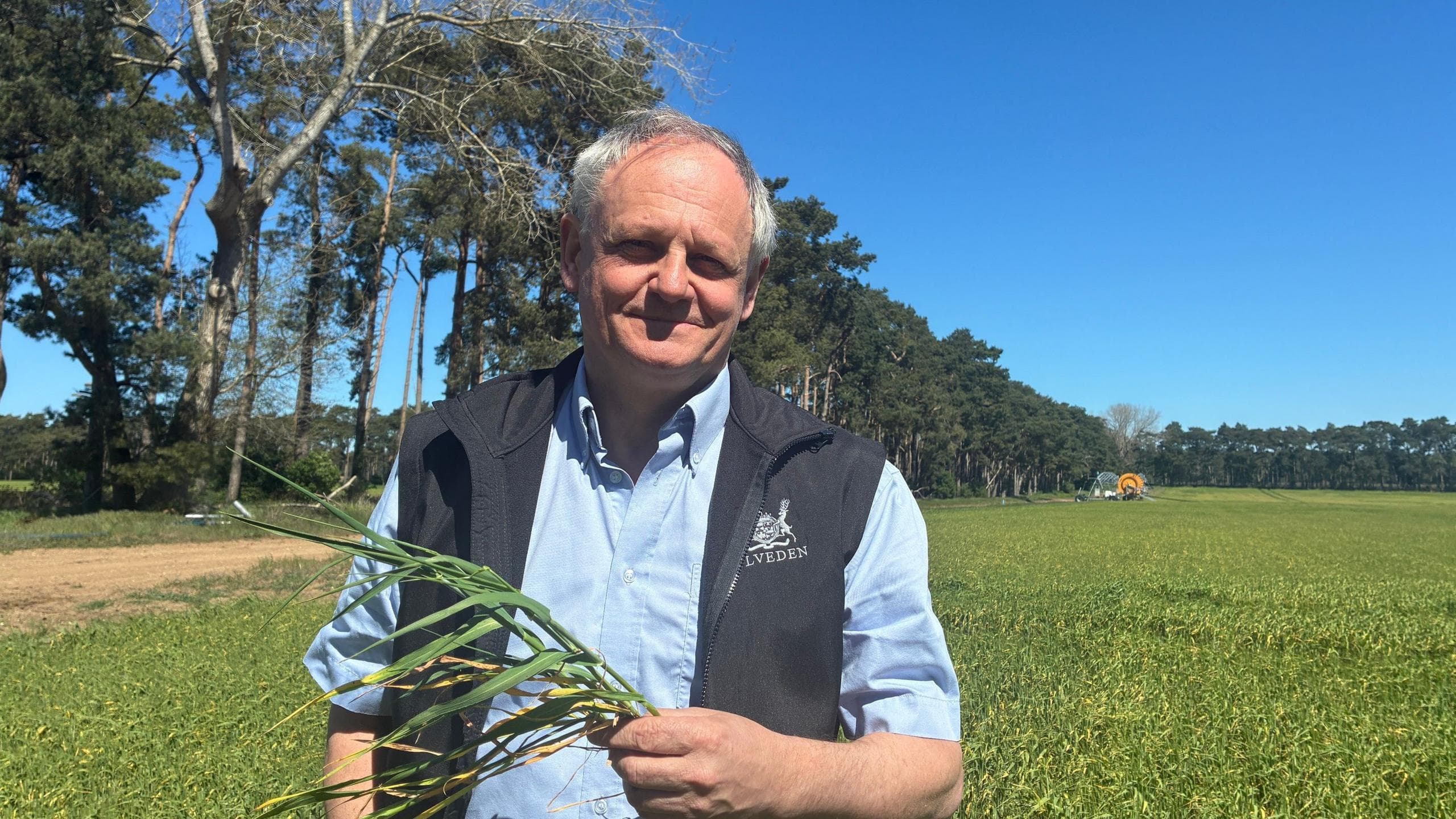 Man stands in a tree-lined field holding a handful of winter barley