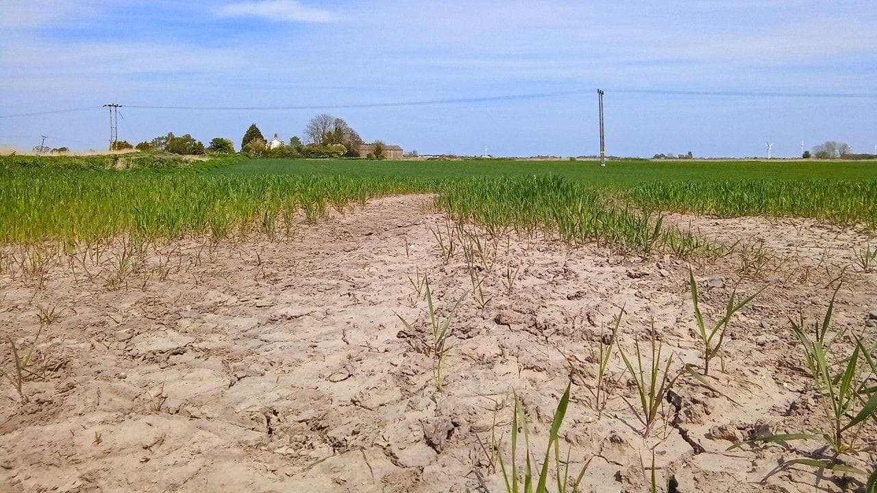 Is the UK heading for another drought this summer?