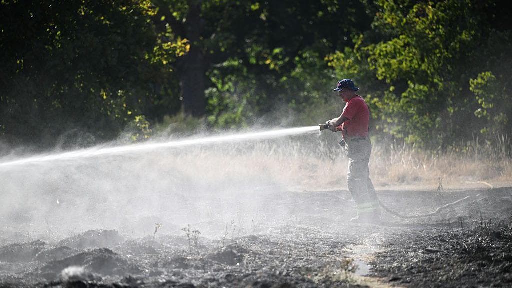 Warning of record global temperatures as chance of very strong El Niño grows