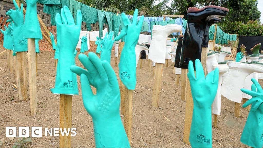 'Speed, money and compassion' - lessons from an Ebola survivor and other experts